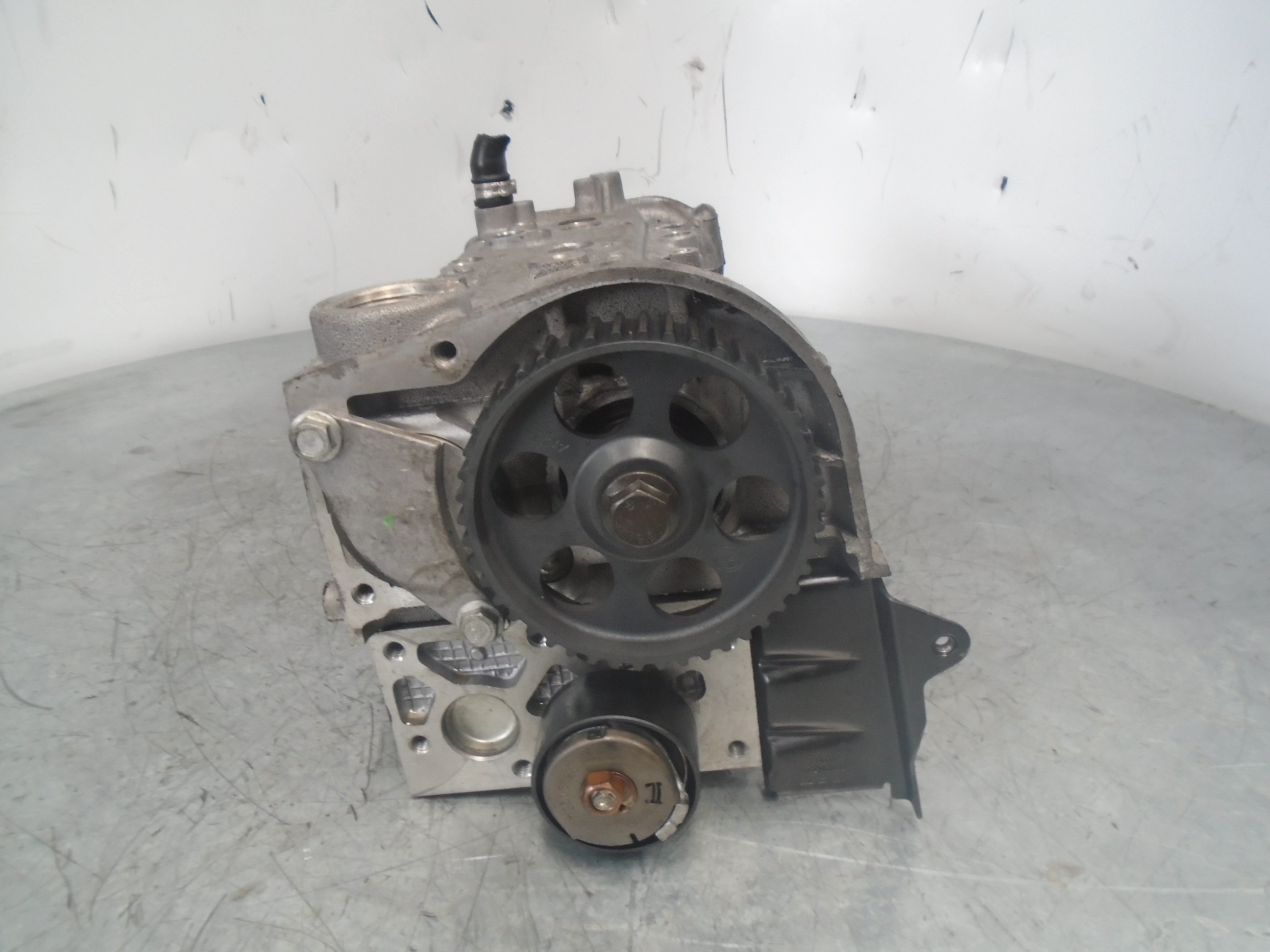 FIAT 500 2 generation (2008-2024) Engine Cylinder Head