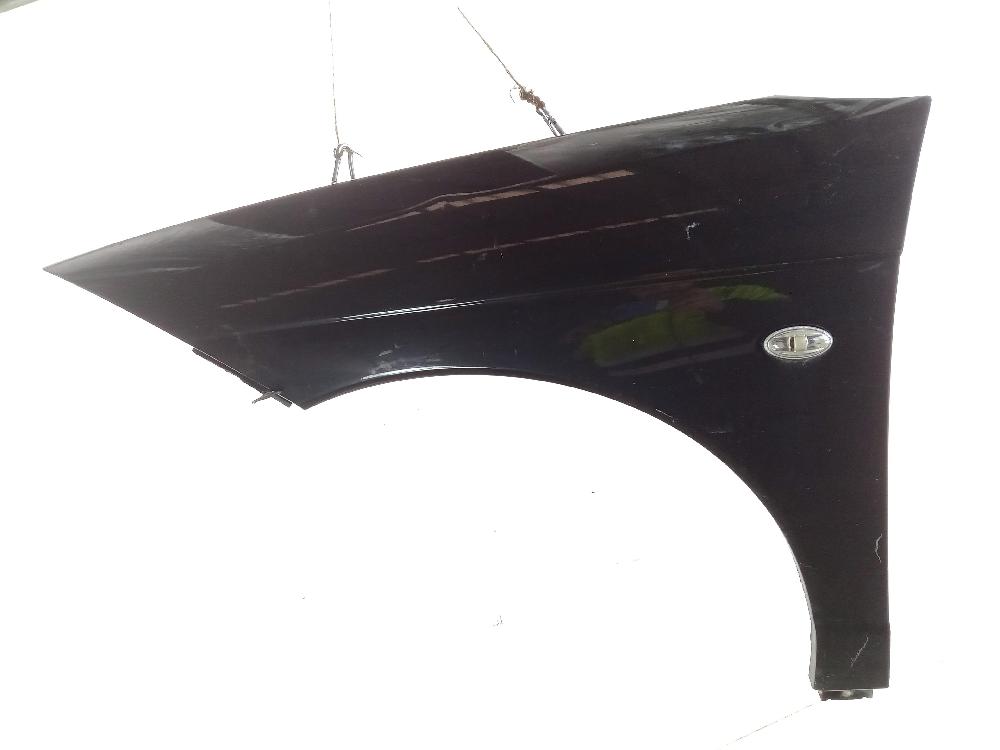 CITROËN C6 1 generation (2004-2012) Front Left Fender 7840Q1 25992433