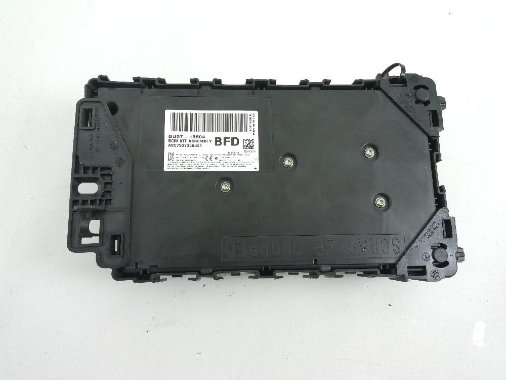 FORD USA Edge 2 generation (2015-2024) Other Control Units GU5T15604 26039960