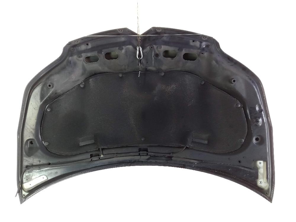 FORD Fiesta 5 generation (2001-2010) Bonnet 7901L1 25992491