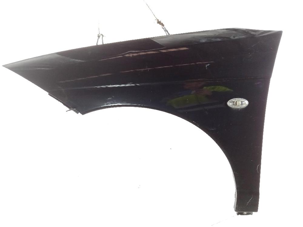 CITROËN C6 1 generation (2004-2012) Front Left Fender 7840Q1 25992433