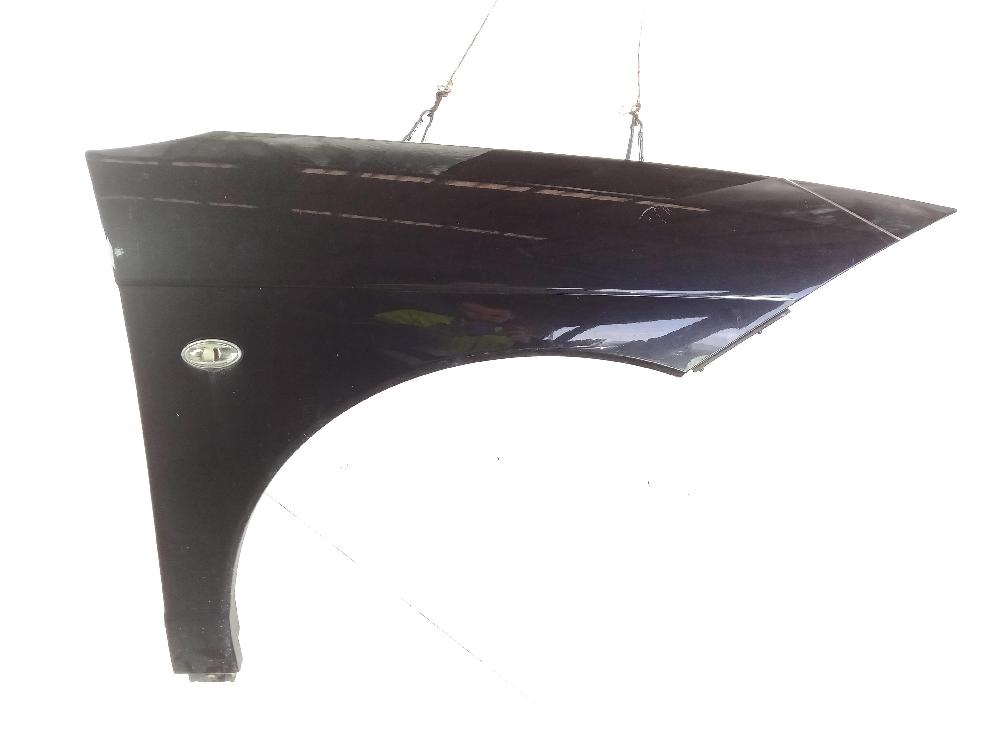 CITROËN C6 1 generation (2004-2012) Front Right Fender 7841S0 26011177