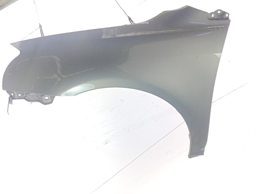 DODGE Scenic 2 generation (2003-2010) Front Left Fender 26040370