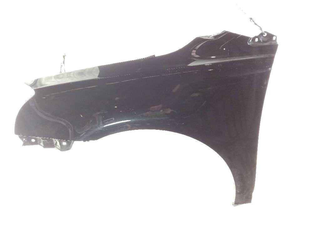 DODGE Scenic 2 generation (2003-2010) Front Left Fender 26002839