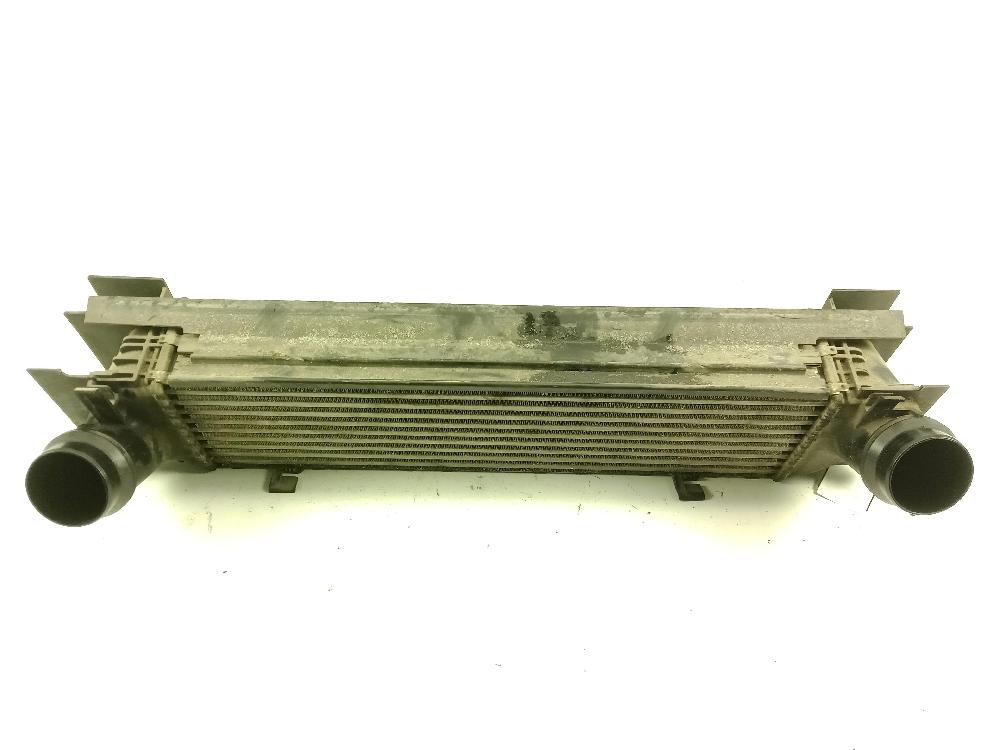 BMW 3 Series F30/F31 (2011-2020) Intercooler Radiator 1751760053003 25989872