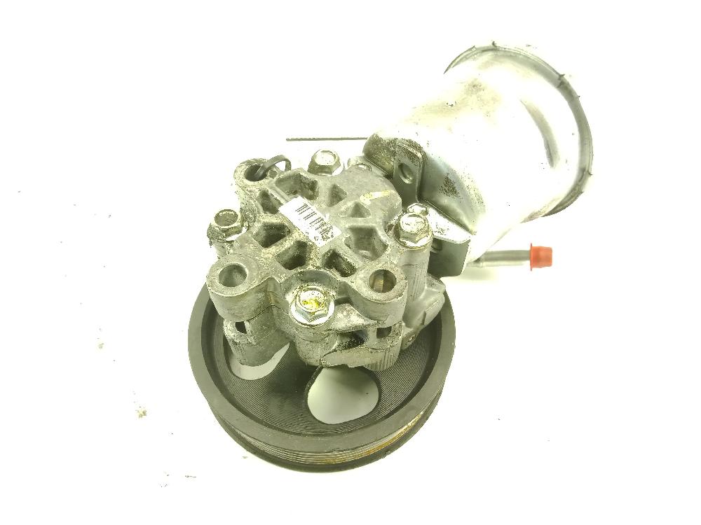 DODGE Power Steering Pump 25346912