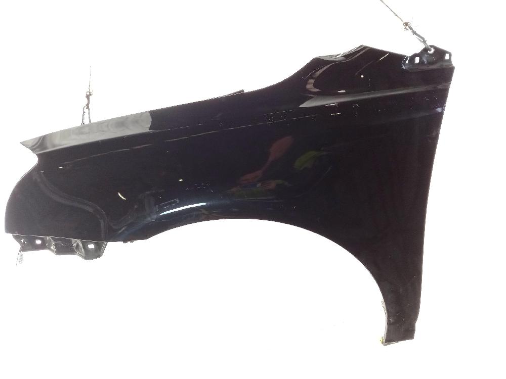 DODGE Scenic 2 generation (2003-2010) Front Left Fender 26002839