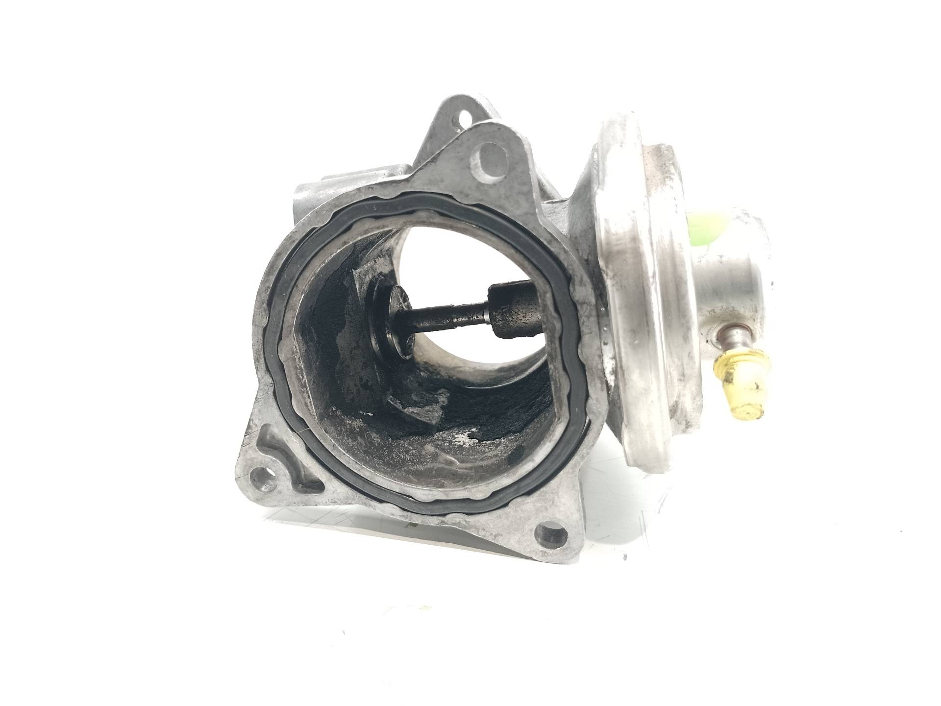 VOLKSWAGEN Golf Plus 2 generation (2009-2014) EGR Valve 038129637D 25393116