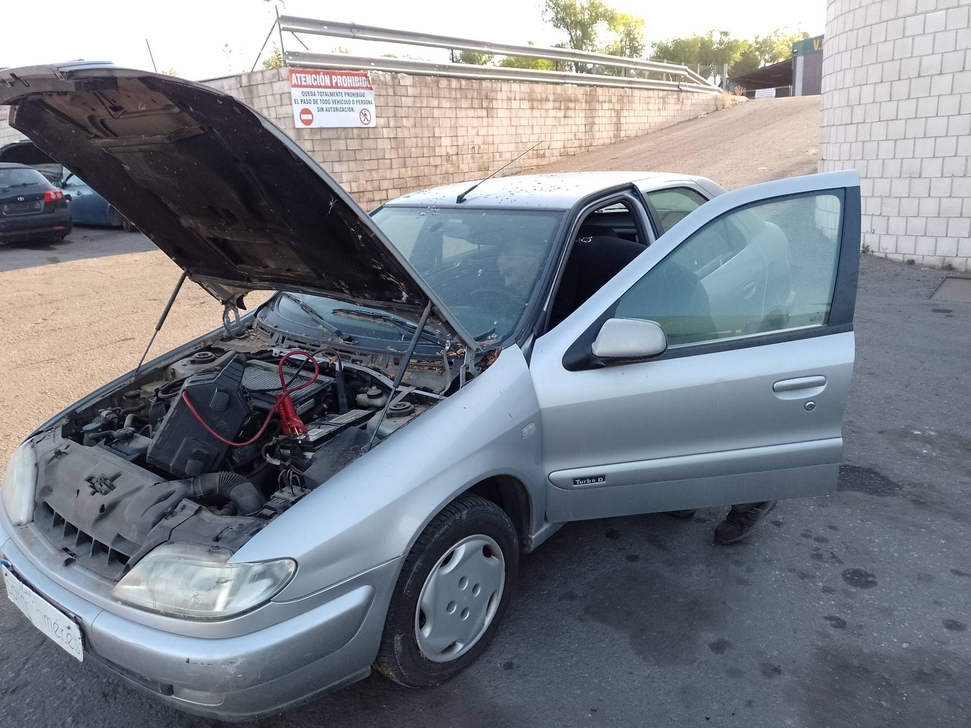 NISSAN Primera P11 (1996-2002) Коробка передач 25766937