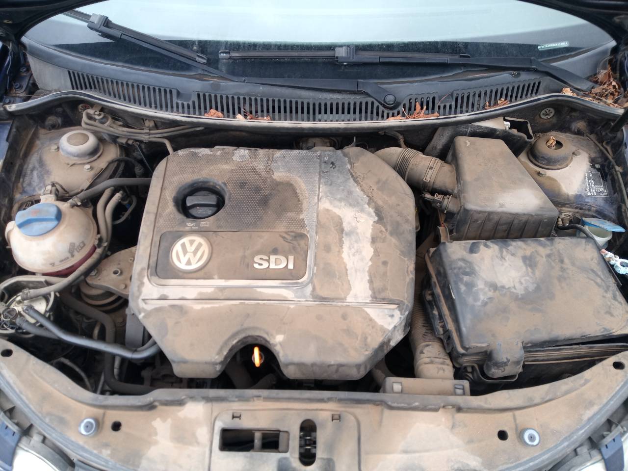 VOLKSWAGEN Polo 4 generation (2001-2009) pārnesumkārba 24102276