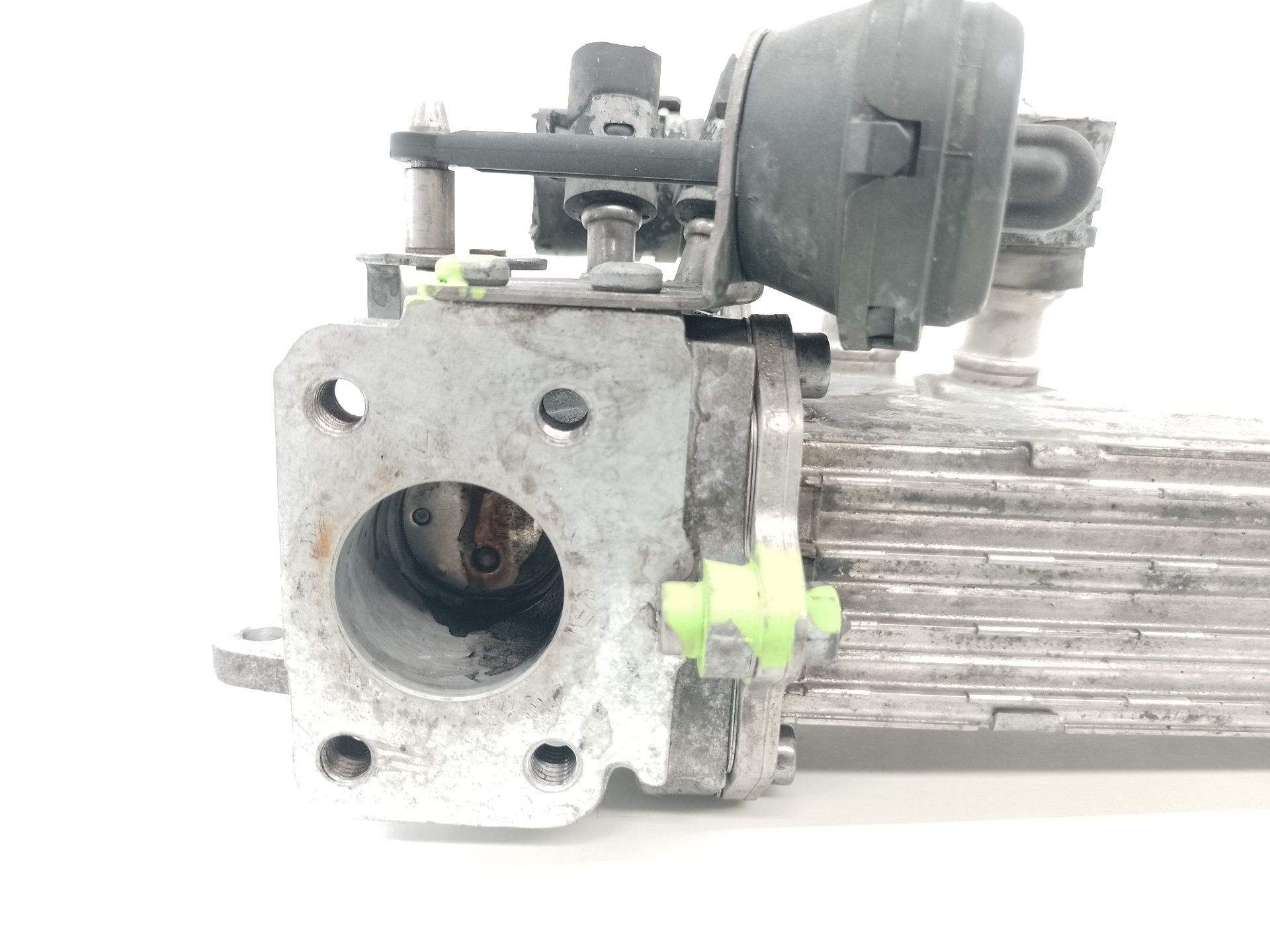 VOLKSWAGEN Passat B6 (2005-2010) EGR Cooler 030131513J 25323571