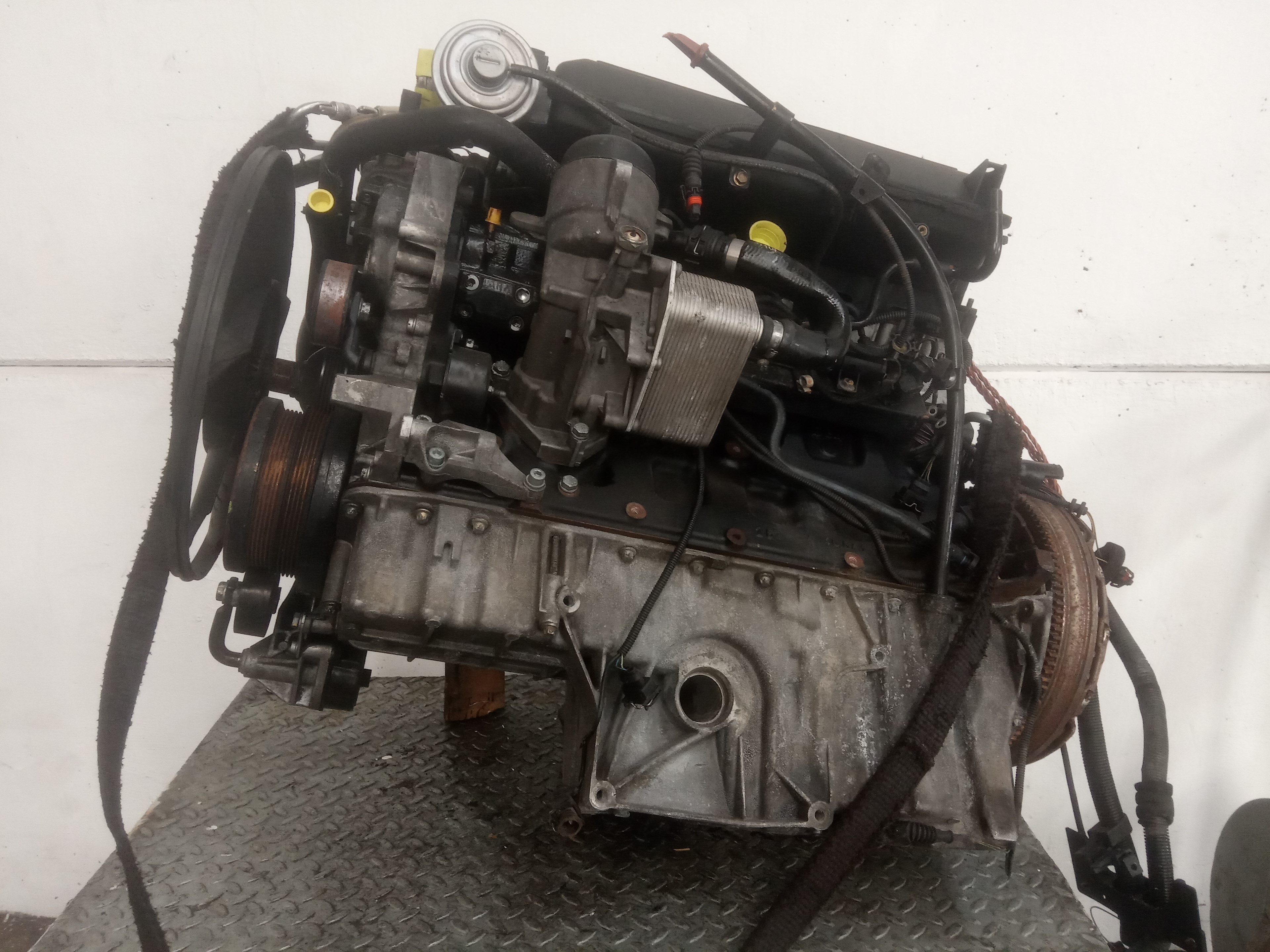 ALFA ROMEO X5 E53 (1999-2006) Engine M57 23300100