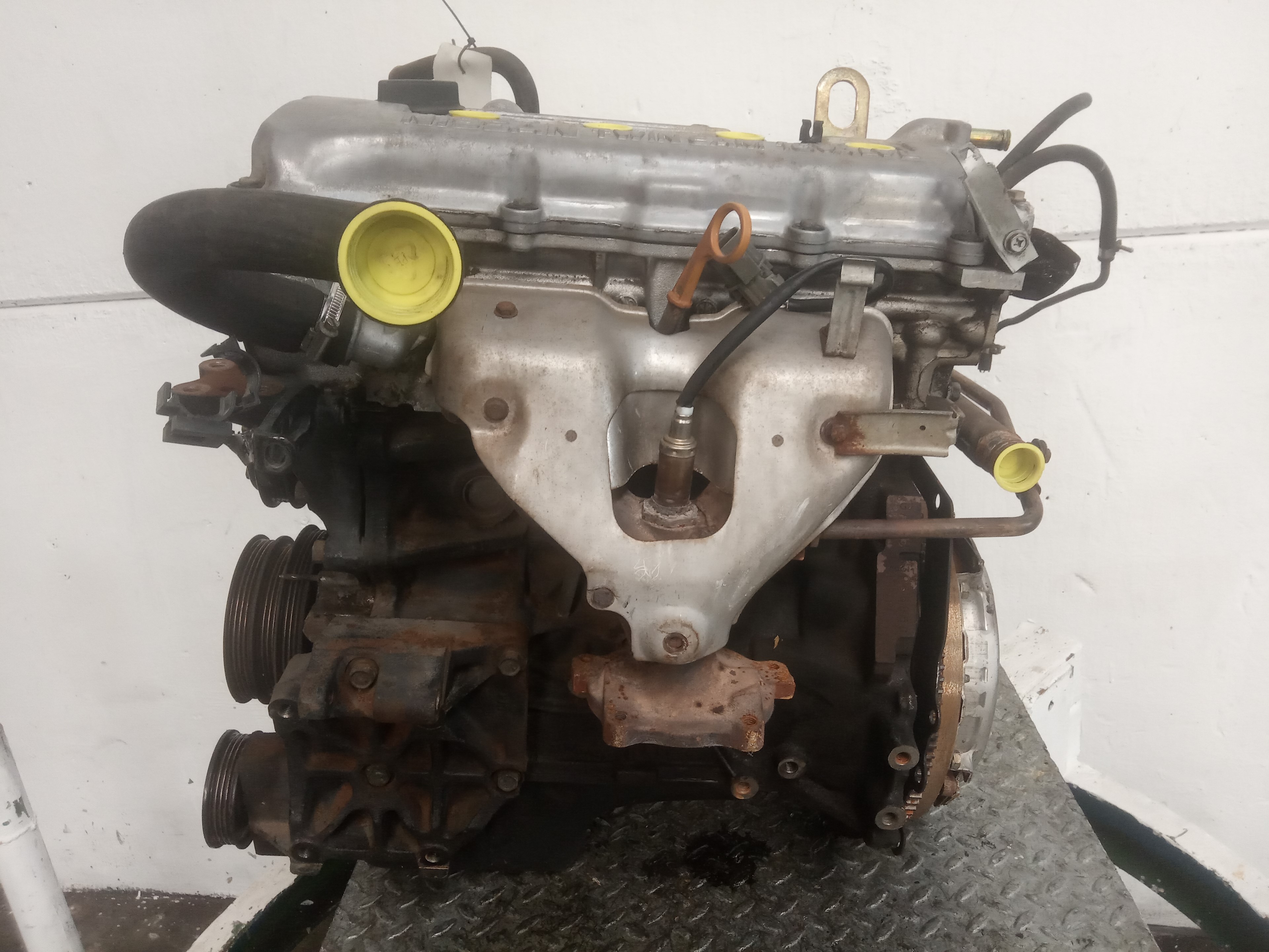 NISSAN Primera P11 (1996-2002) Motor GA16 20482850