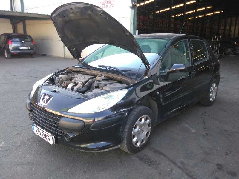 PEUGEOT 307 1 generation (2001-2008) Motora pārsegs 7901L9 18670386