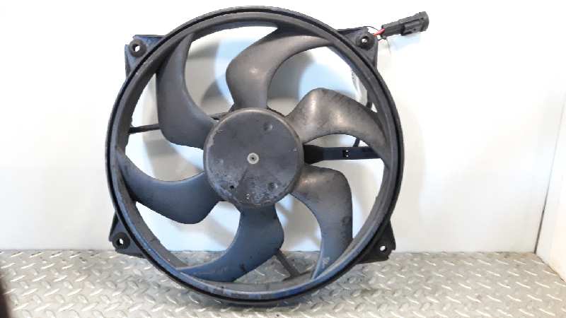 PEUGEOT 307 1 generation (2001-2008) Difūzoriaus ventiliatorius 1253A9 23288379