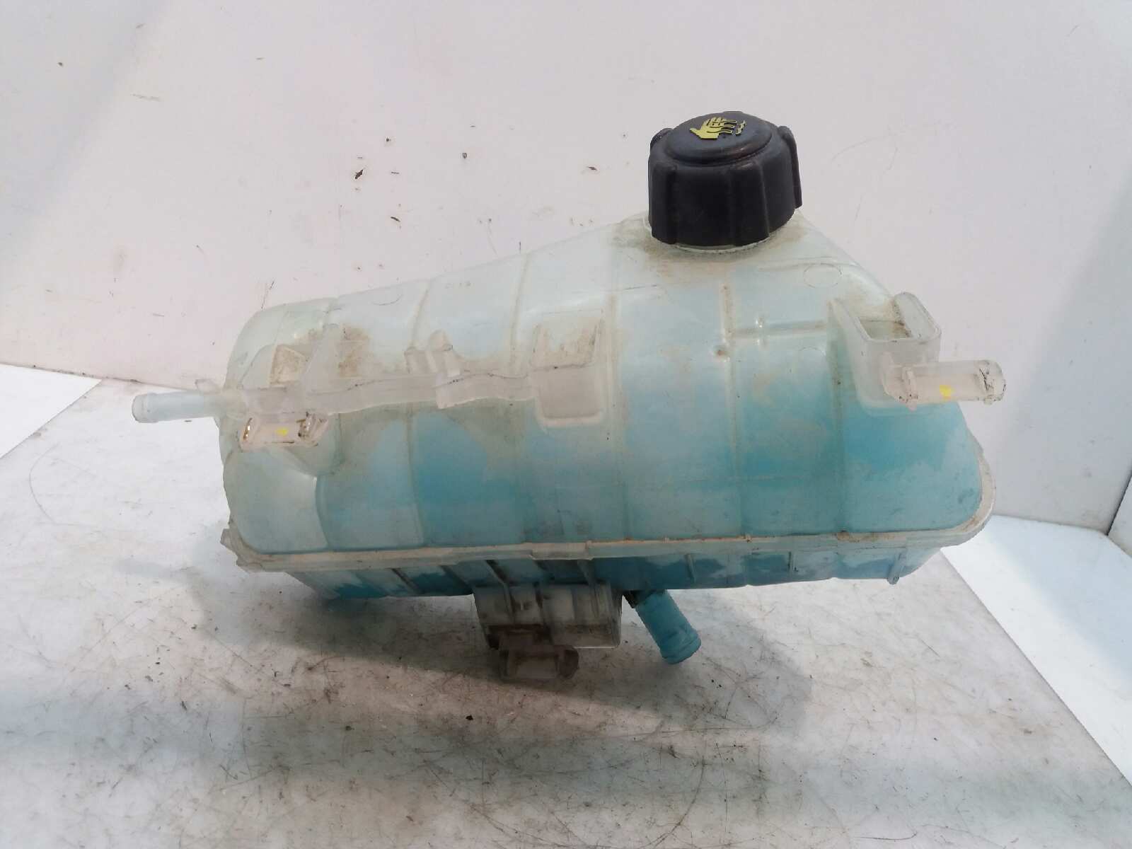 RENAULT Kangoo 2 generation (2007-2021) Expansion Tank 7701209765 18674014