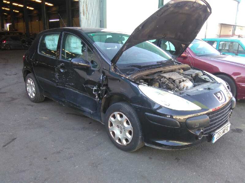 PEUGEOT 307 1 generation (2001-2008) Motora pārsegs 7901L9 18670386