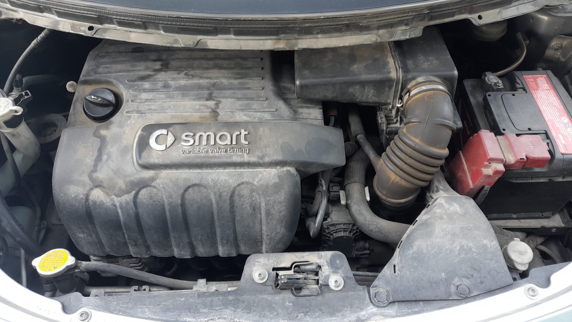 SMART Forfour 1 generation (2004-2006) Зеркало передней правой двери A4548101616 25391360