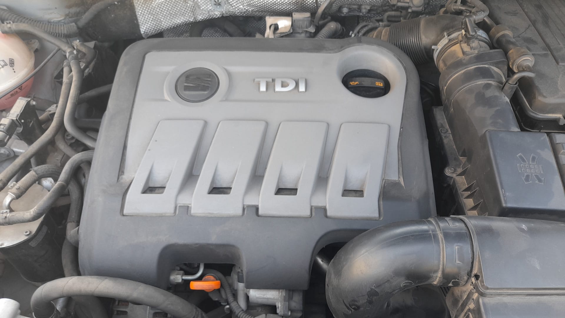 SEAT Alhambra 1 generation (1996-2010) Brake Cylinder 3C1614019E 24012564