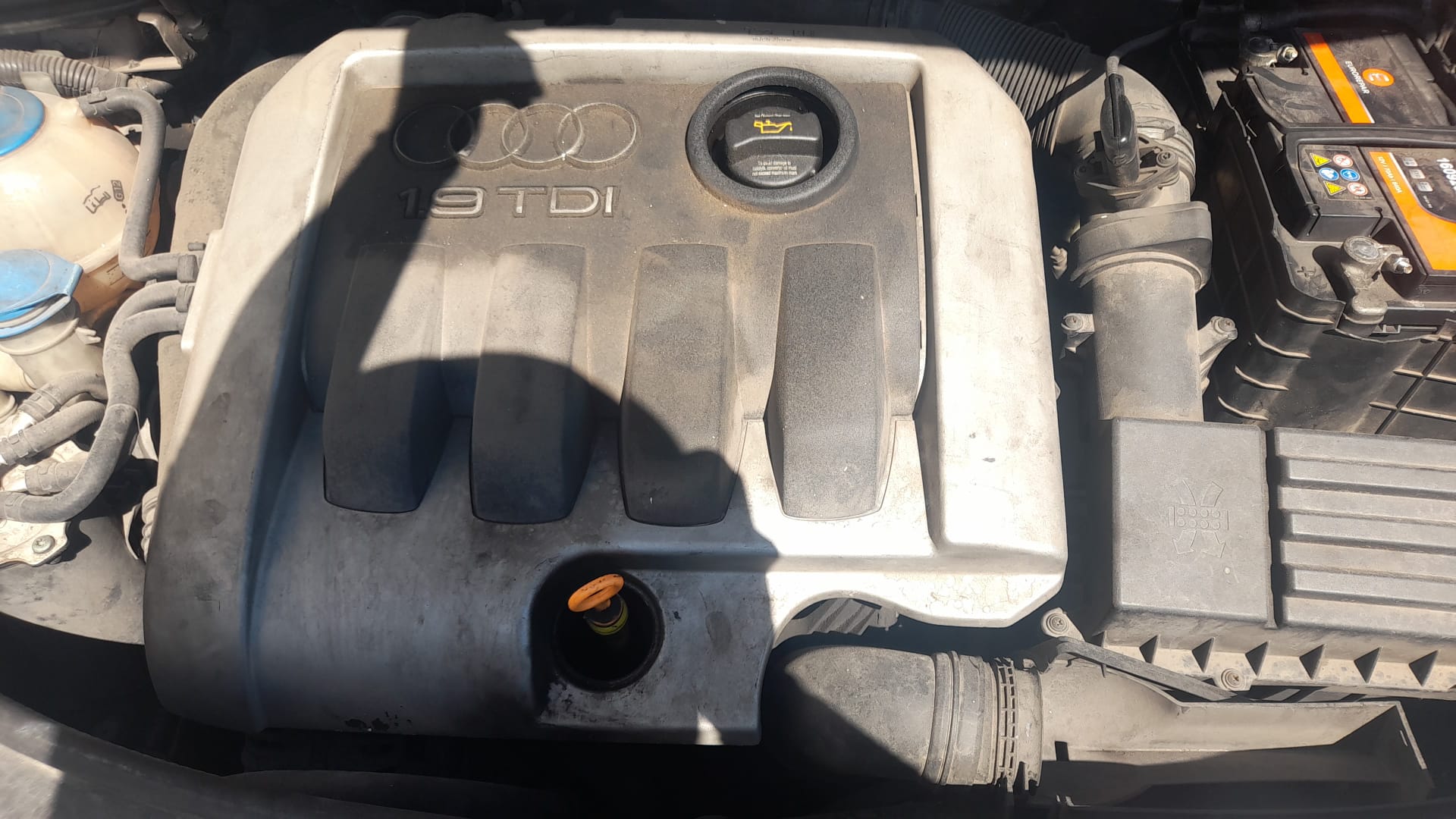 AUDI A3 8P (2003-2013) Aripa dreapta față 8P0821106F 25690410