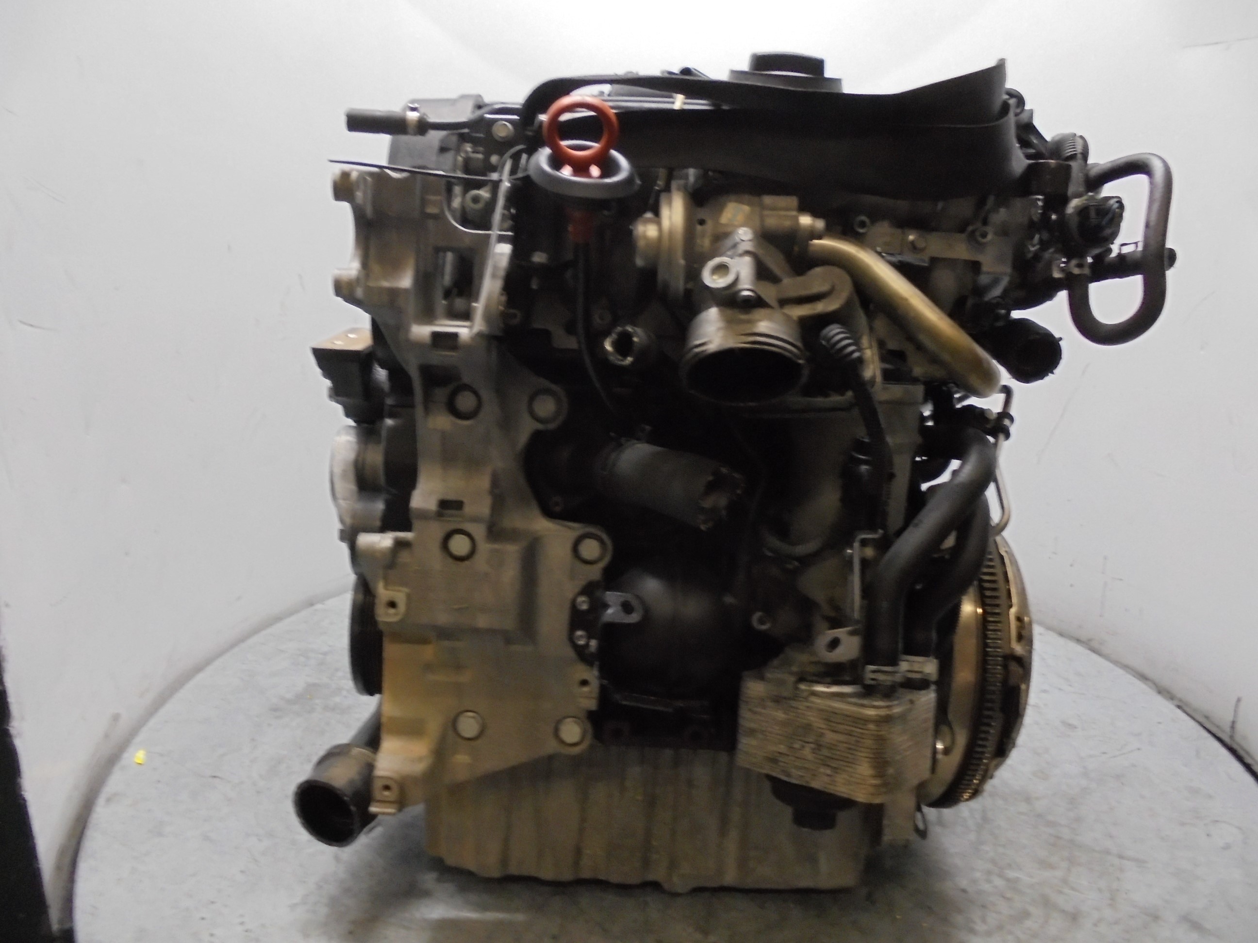 DODGE Caliber 1 generation (2006-2013) Engine BSY 22131612