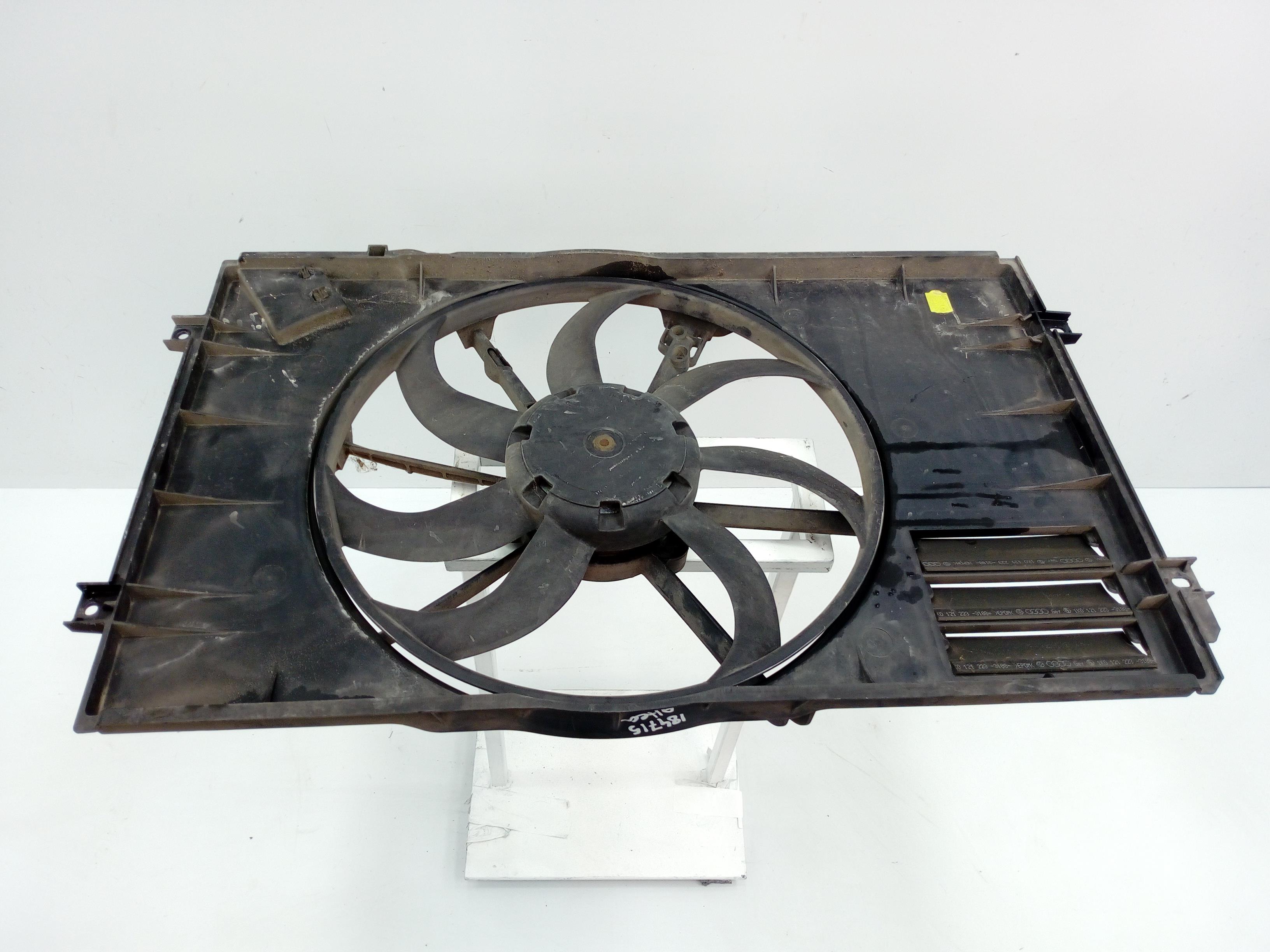 SEAT Toledo 3 generation (2004-2010) Ventilator difuzor 1K0121205AA 24031602