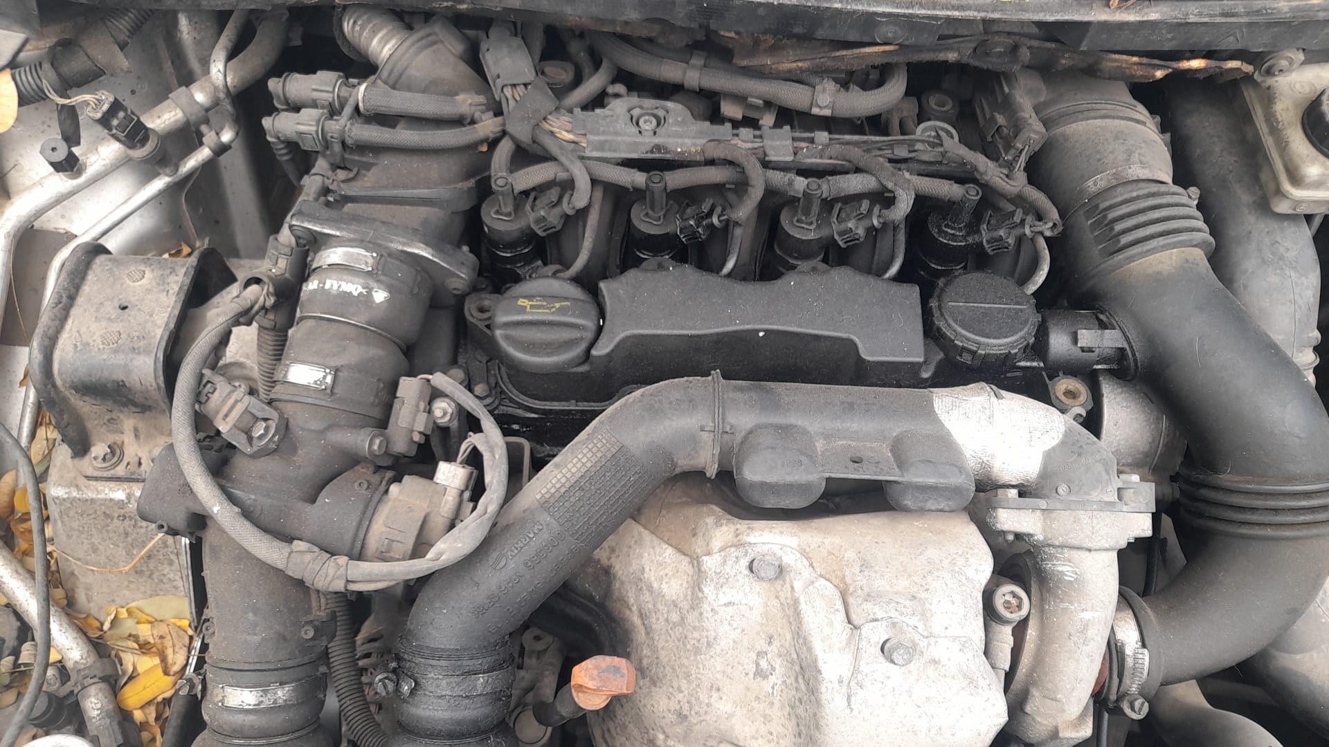 CITROËN C4 1 generation (2004-2011) Priekšējās kreisās durvis 9002W0 24032704