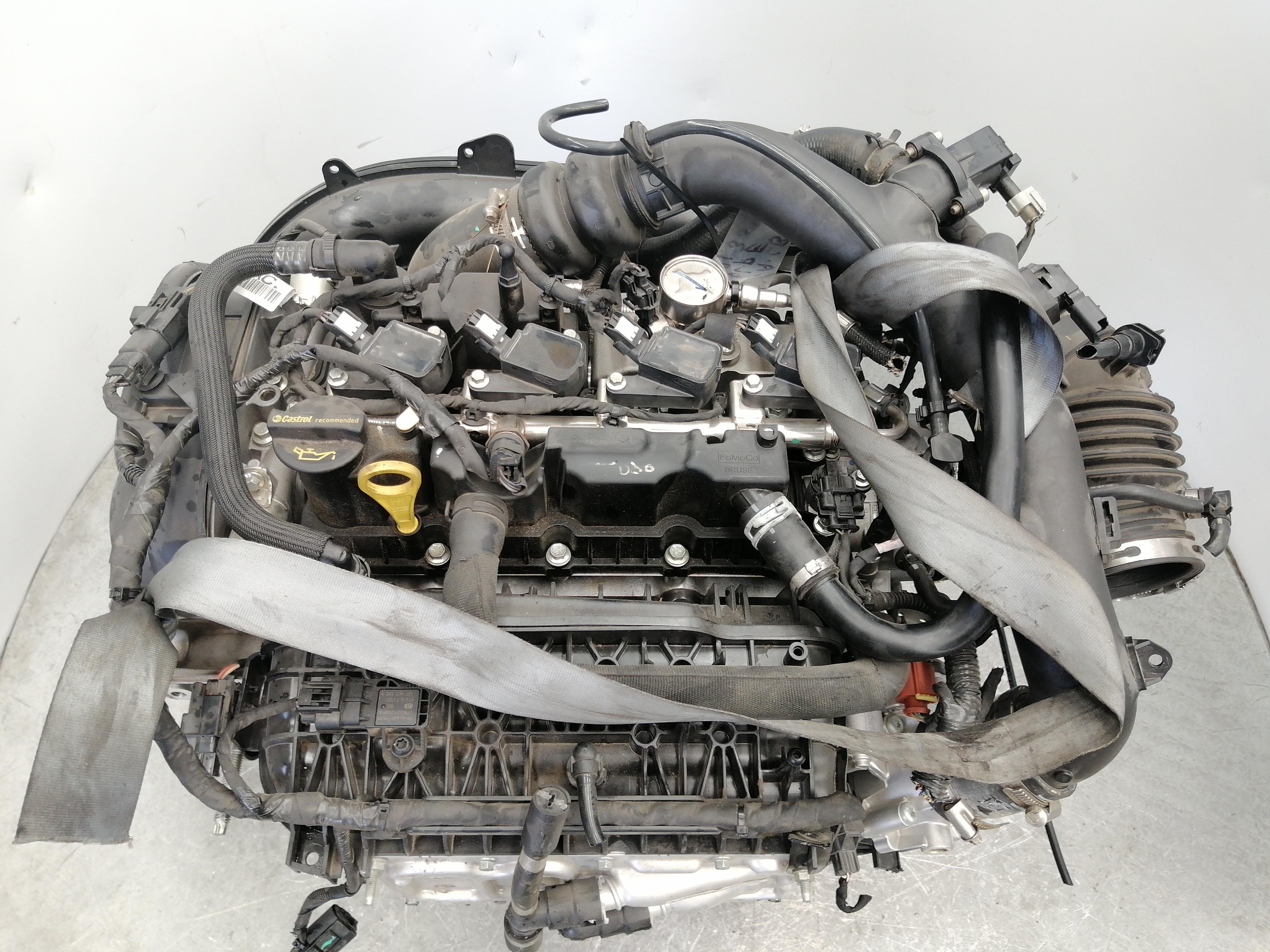 FORD Kuga 2 generation (2013-2020) Engine M8MA 25327917