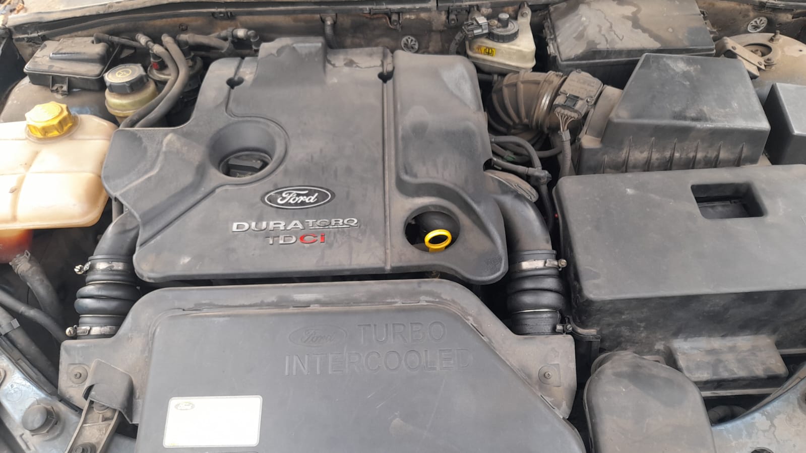 PEUGEOT Focus 1 generation (1998-2010) Aripa dreapta față 1350731 24034432