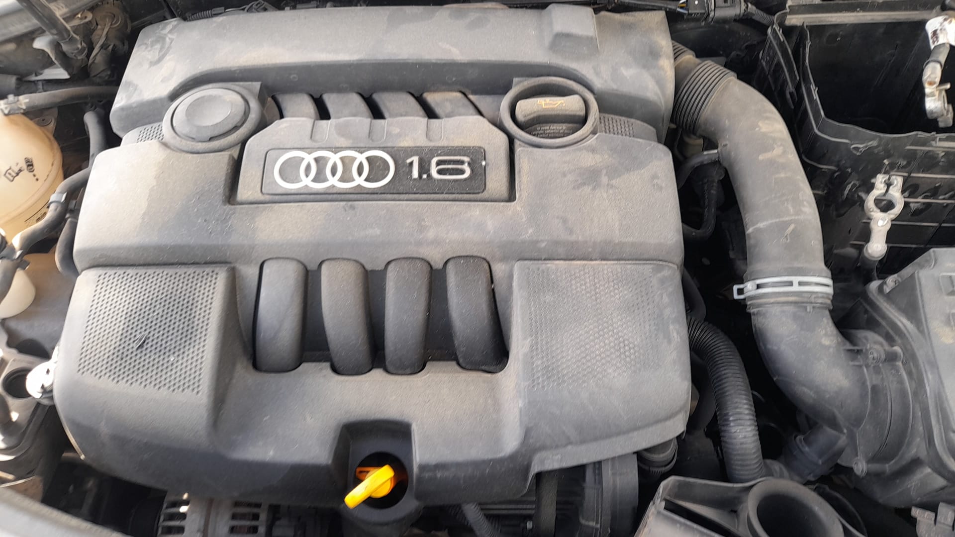 AUDI A2 8Z (1999-2005) Ridicător de geam ușă dreapta față 8P3837462C 18659582