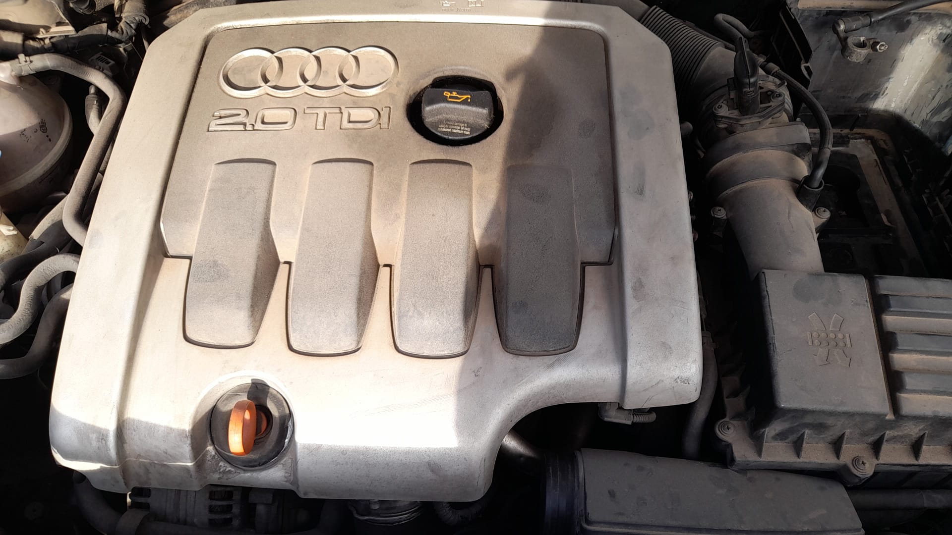 AUDI A3 8P (2003-2013) Ridicător de geam ușă dreapta față 8P3837462C 25705635