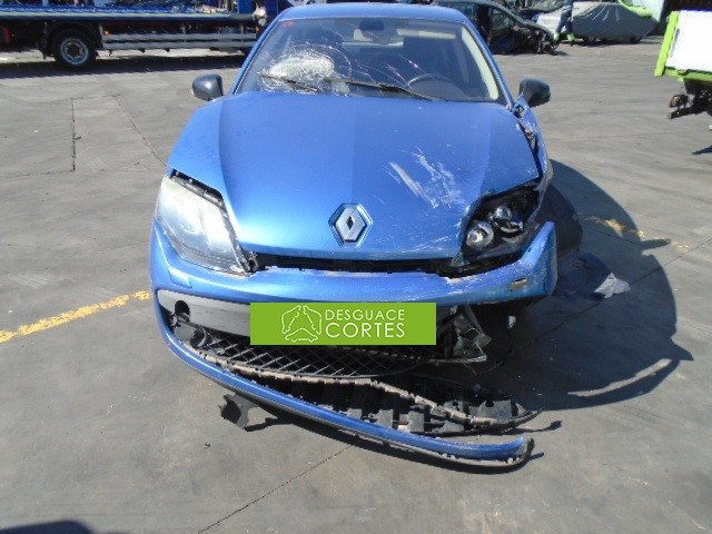 RENAULT Laguna 3 generation (2007-2015) Задна лява врата 821010023R 25200729