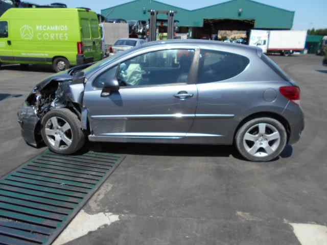 PEUGEOT 207 1 generation (2006-2009) Ёжик 6436A9 18624099