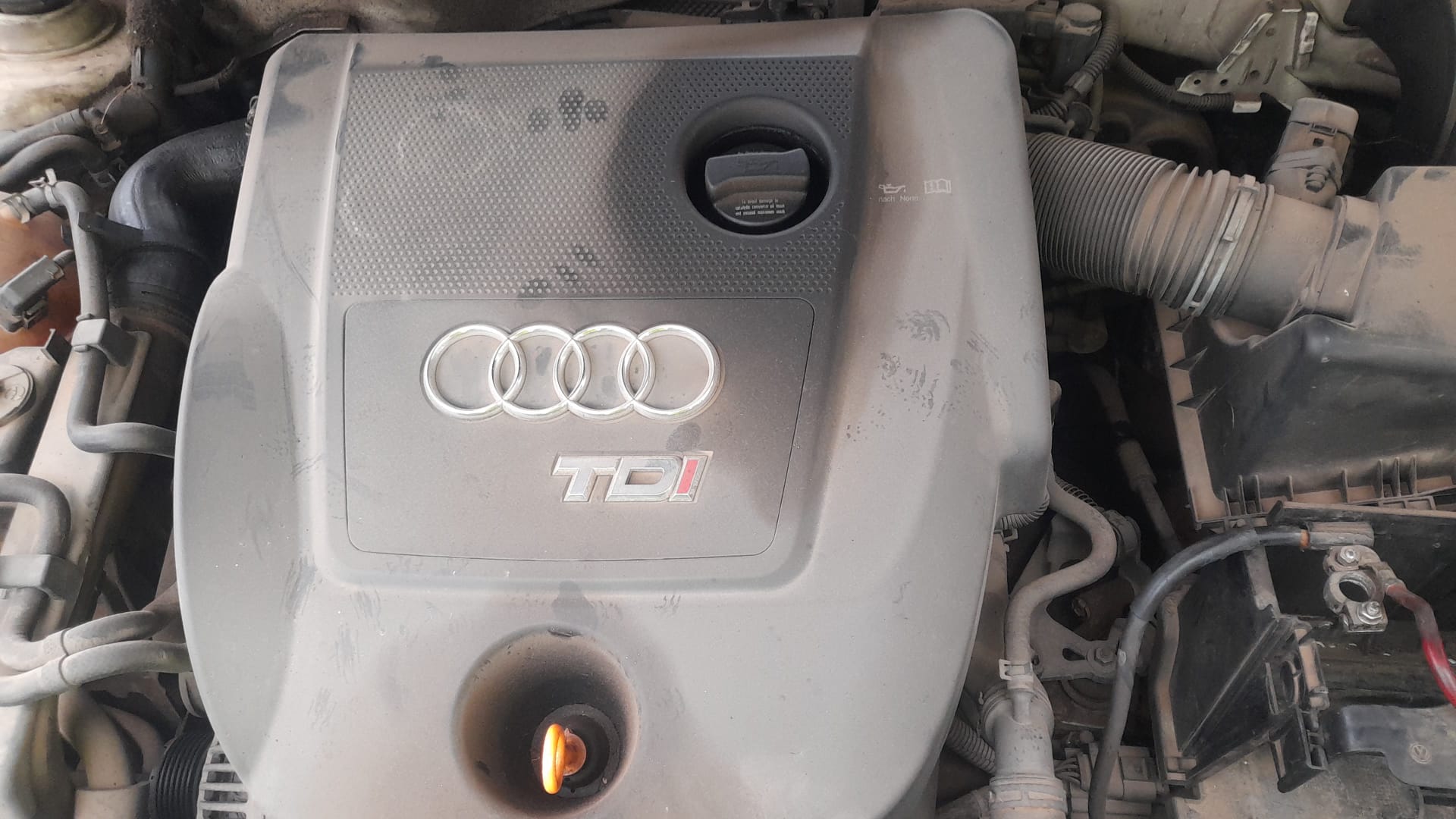 AUDI A3 8L (1996-2003) Крыло переднее правое 8L0821106B 24548237