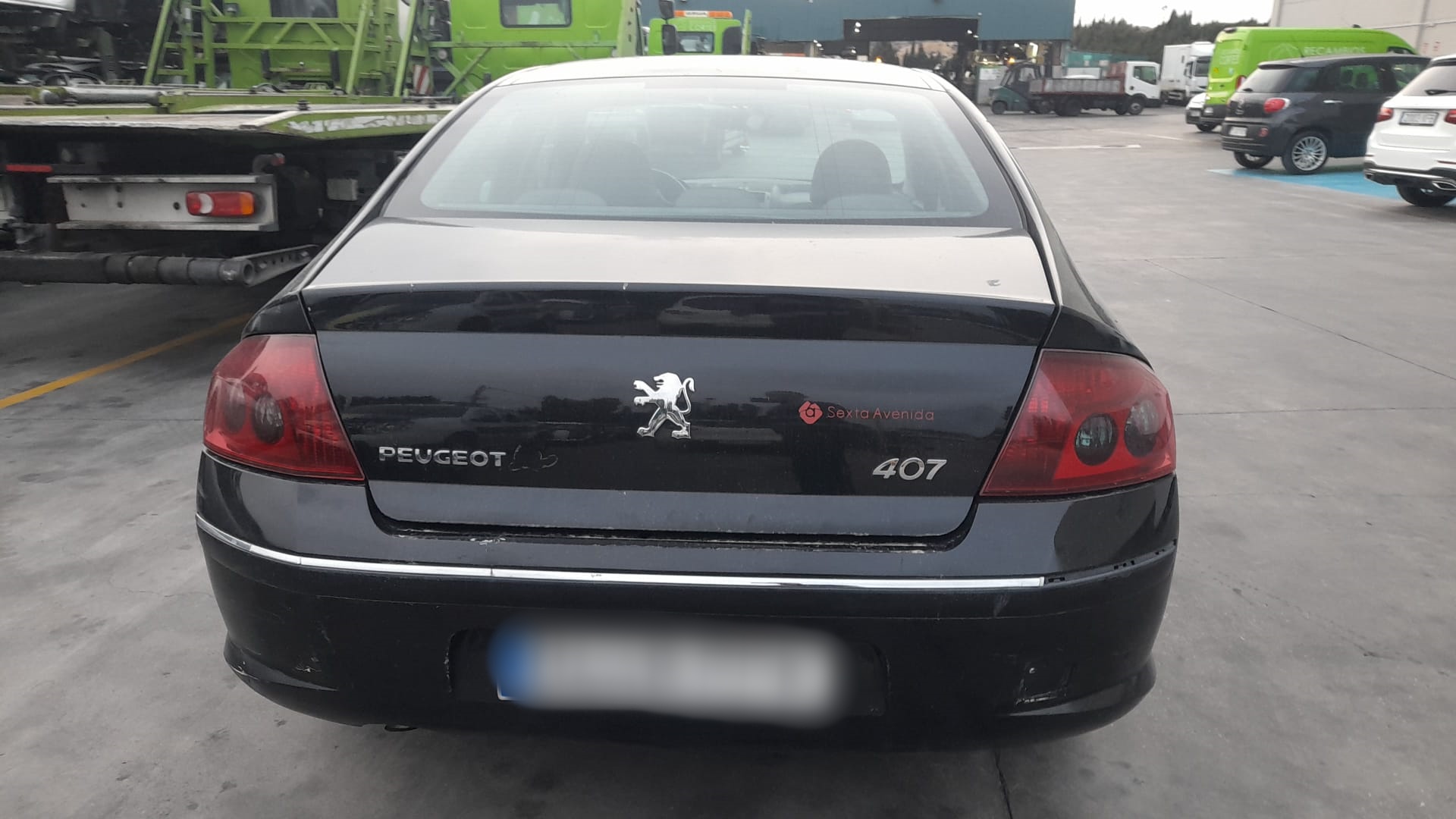 PEUGEOT 407 1 generation (2004-2010) Передняя правая дверь 9004X6 24026942