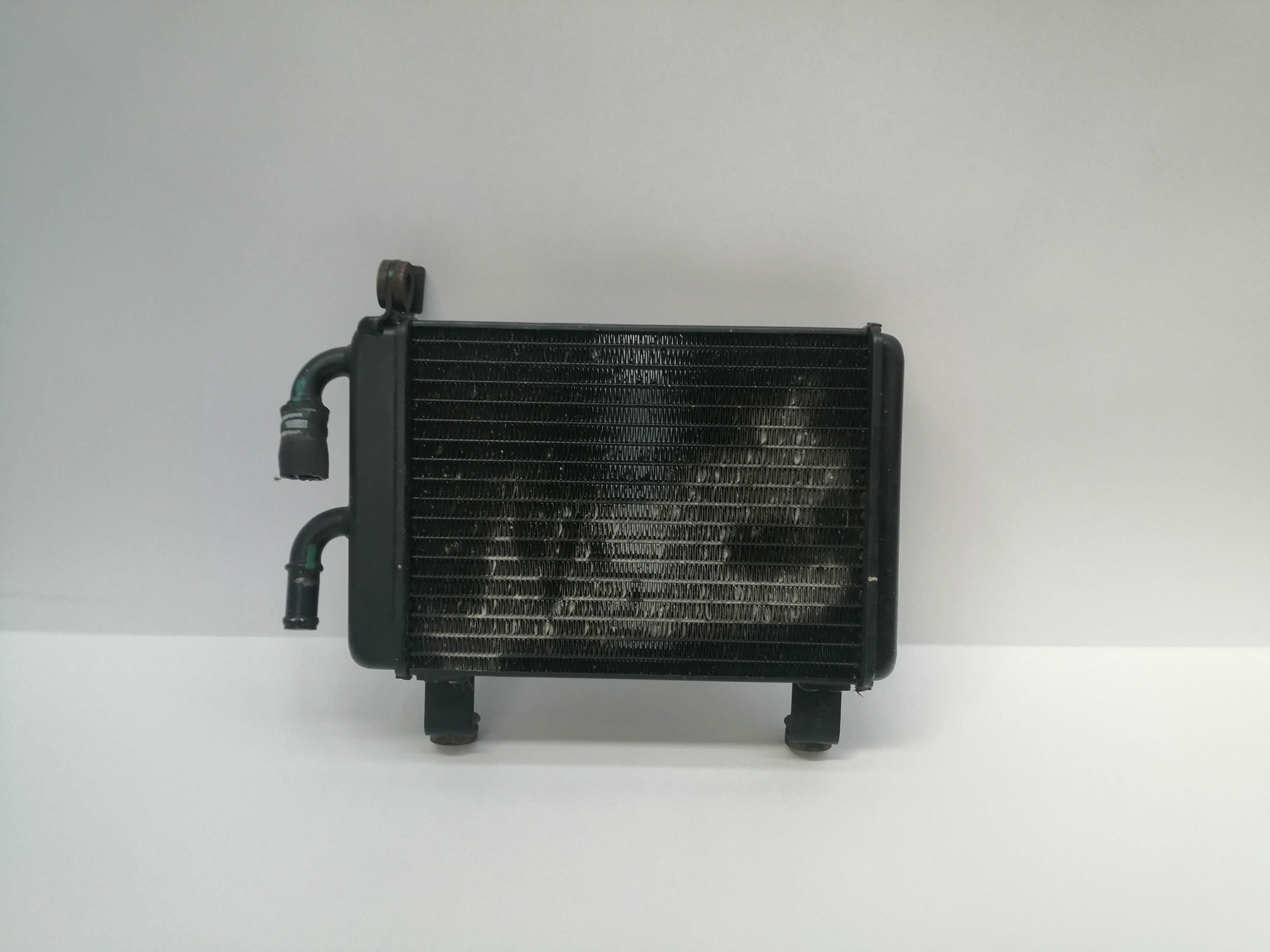 AUDI Q7 4L (2005-2015) Охлаждающий радиатор 4L0121212 24034179