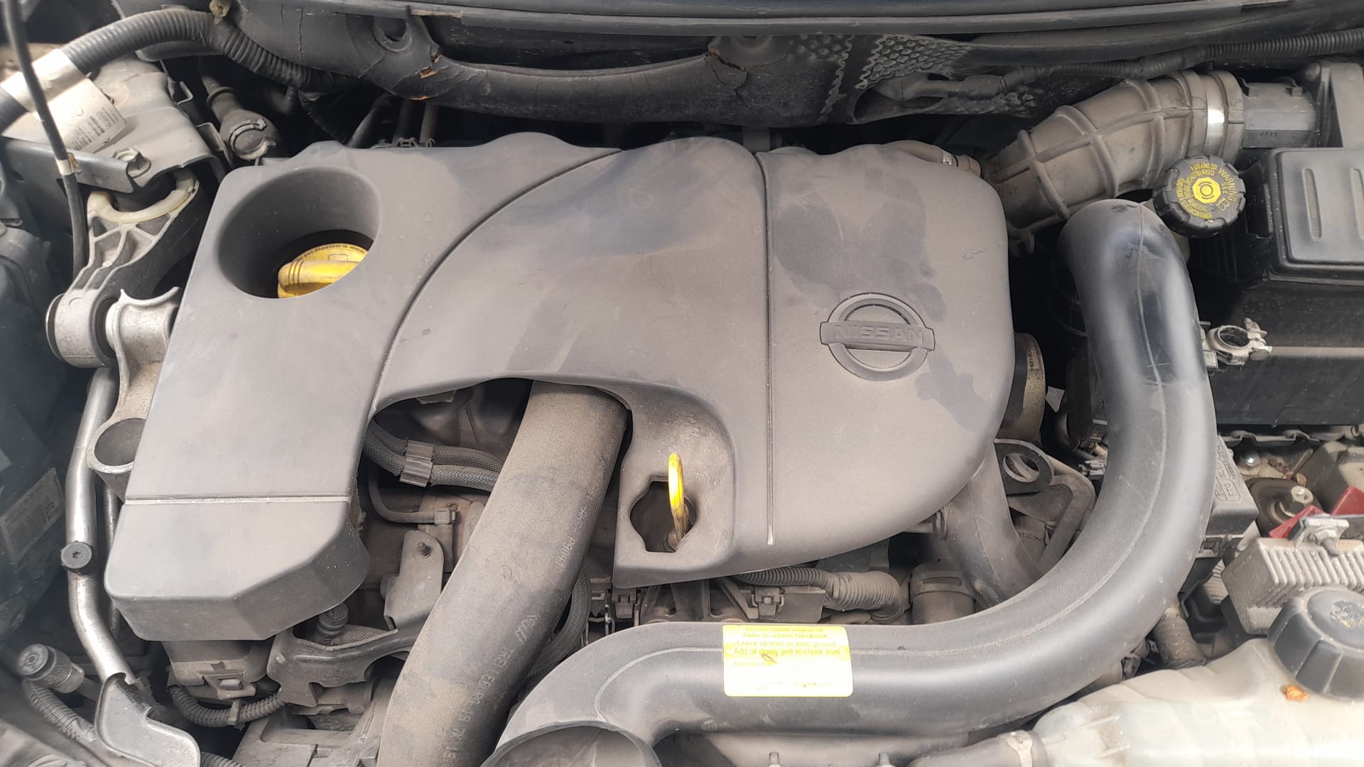 NISSAN Micra K12 (2002-2010) Aripa dreapta față 63100AX630 25248436