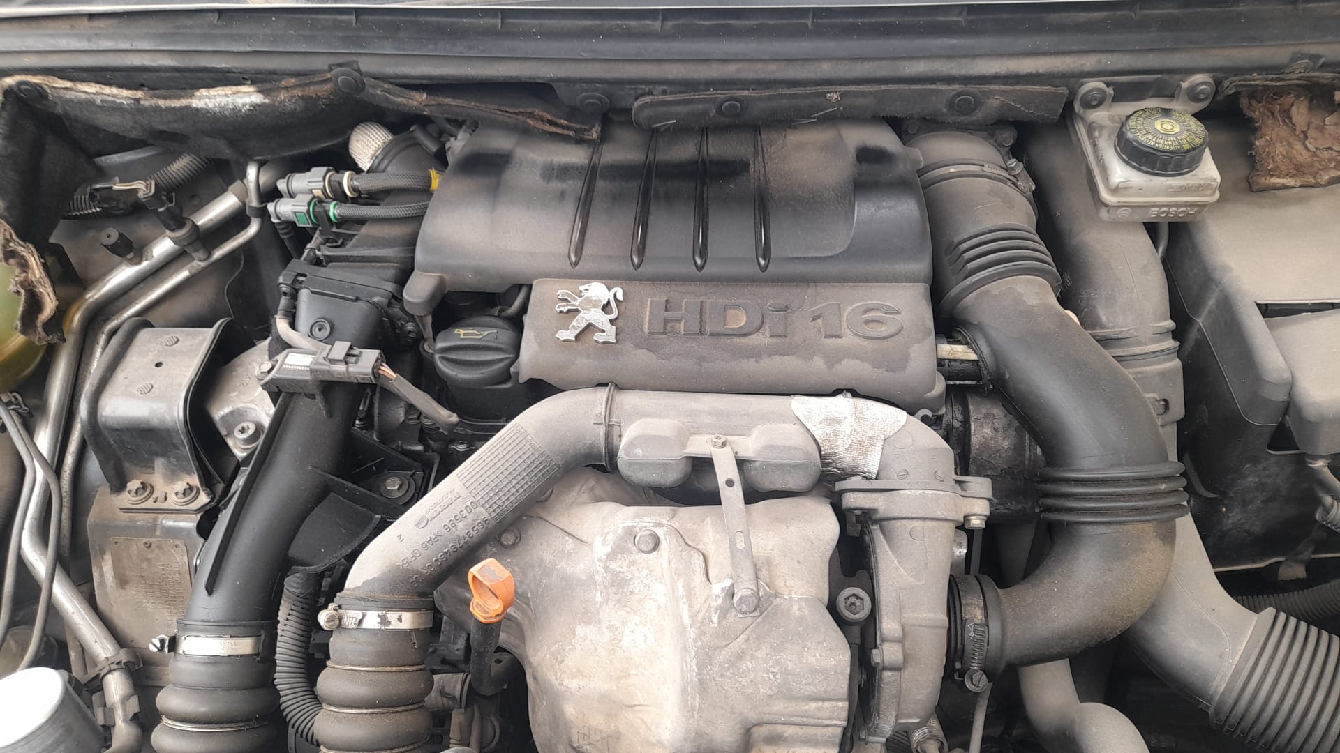 PEUGEOT 307 1 generation (2001-2008) Engine 9HY 23502823