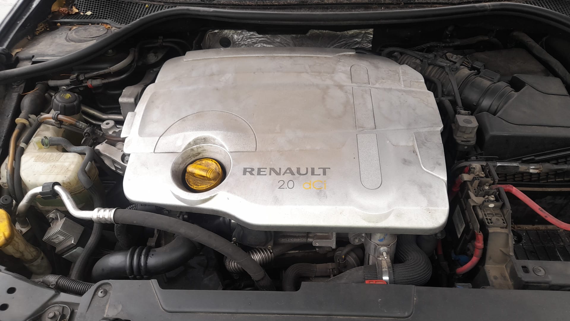 RENAULT Laguna 3 generation (2007-2015) Interkūlerio radiatorius 144960001R 25690712