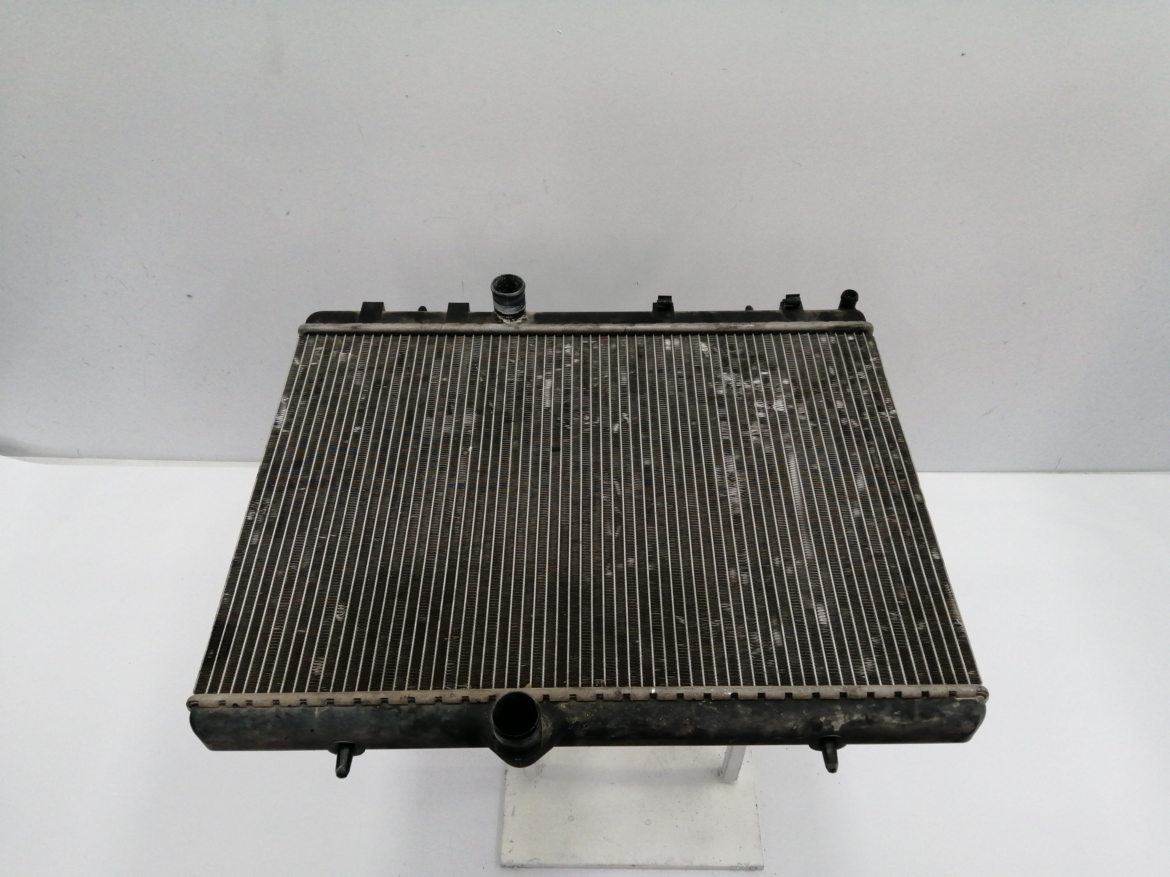 PEUGEOT 307 1 generation (2001-2008) Aušinimo radiatorius 1330F5 25180872