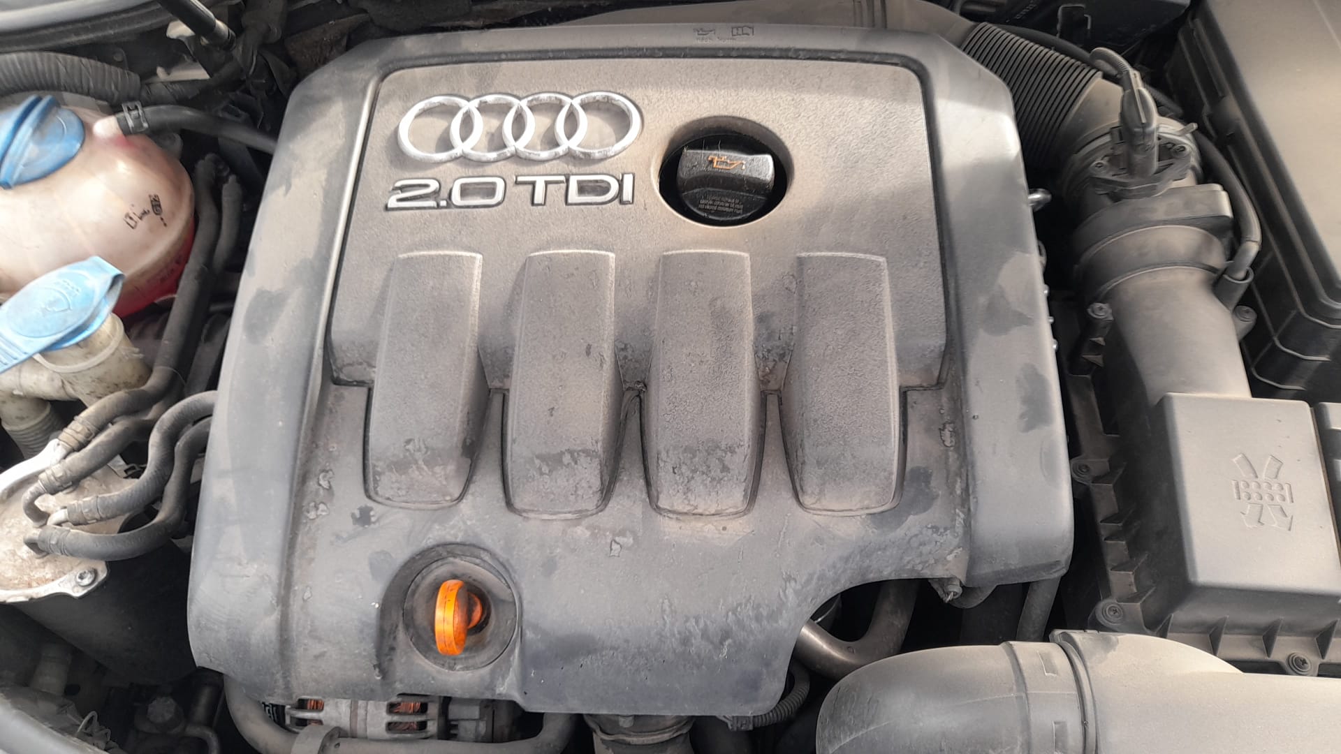 AUDI A3 8P (2003-2013) Boite à gants 8P1857035H 25446303