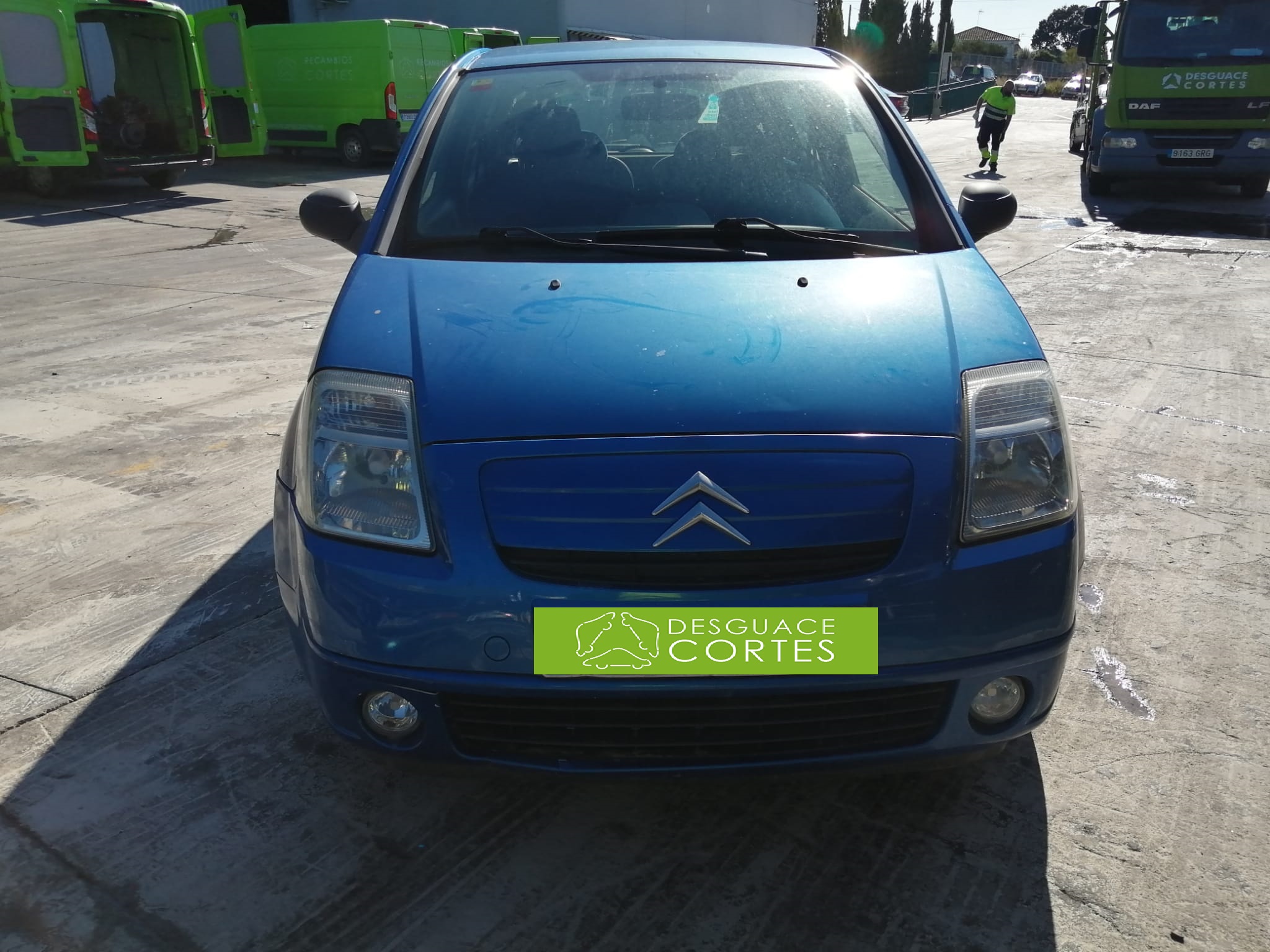 CITROËN C2 1 generation (2003-2009) Крышка багажника 8701S2 18632781