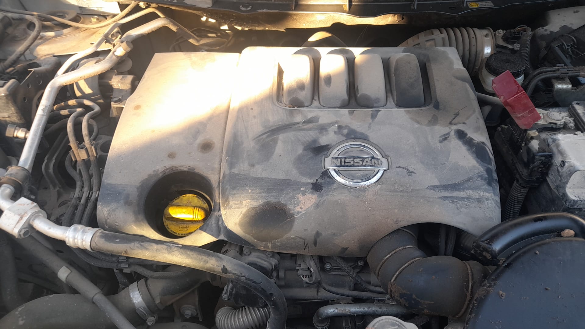 NISSAN X-Trail T31 (2007-2014) Galinis dešinys žibintas 26550JG00A 25809376