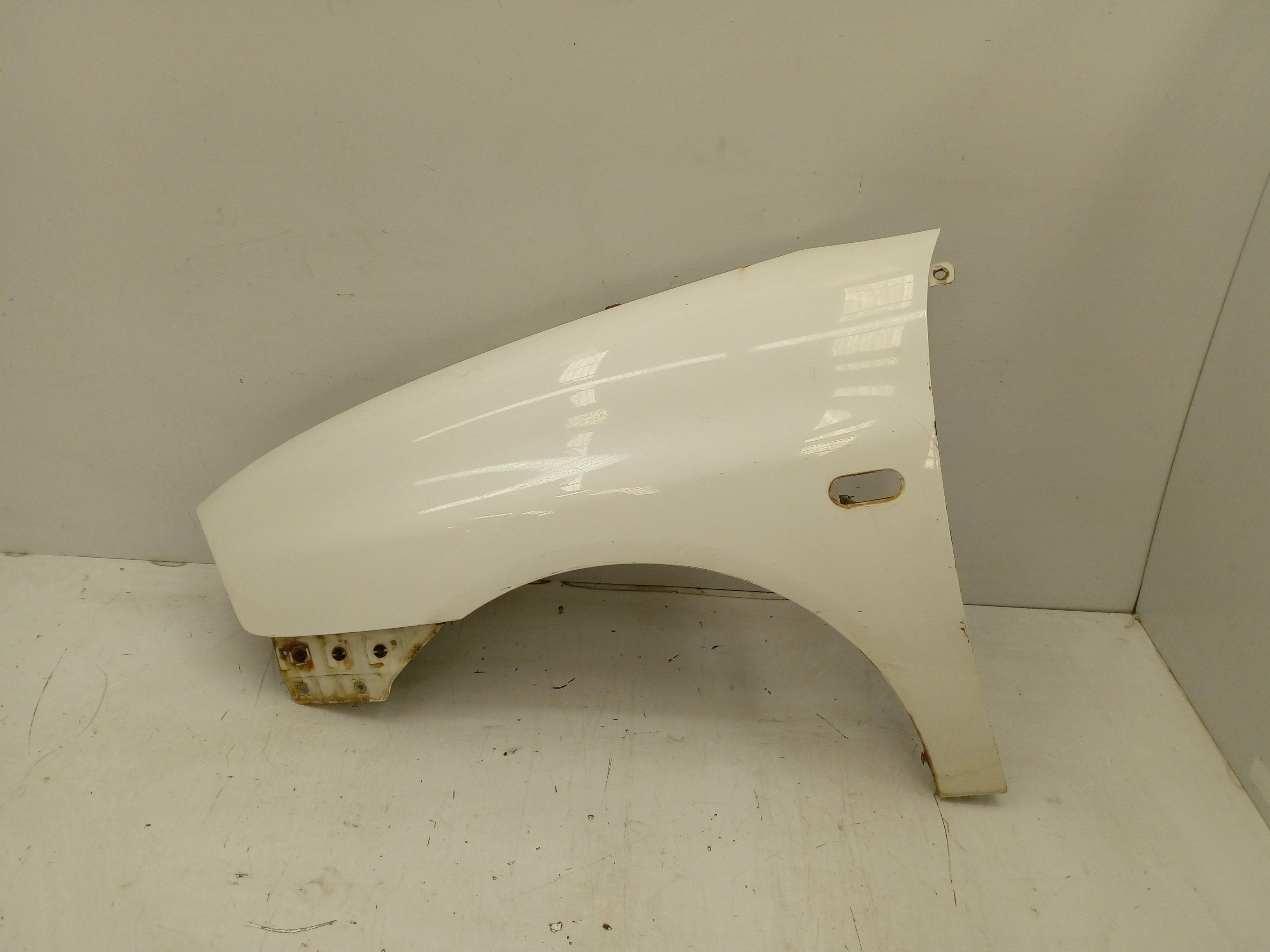 SEAT Leon 1 generation (1999-2005) Front Left Fender 6L0821021C 25704050