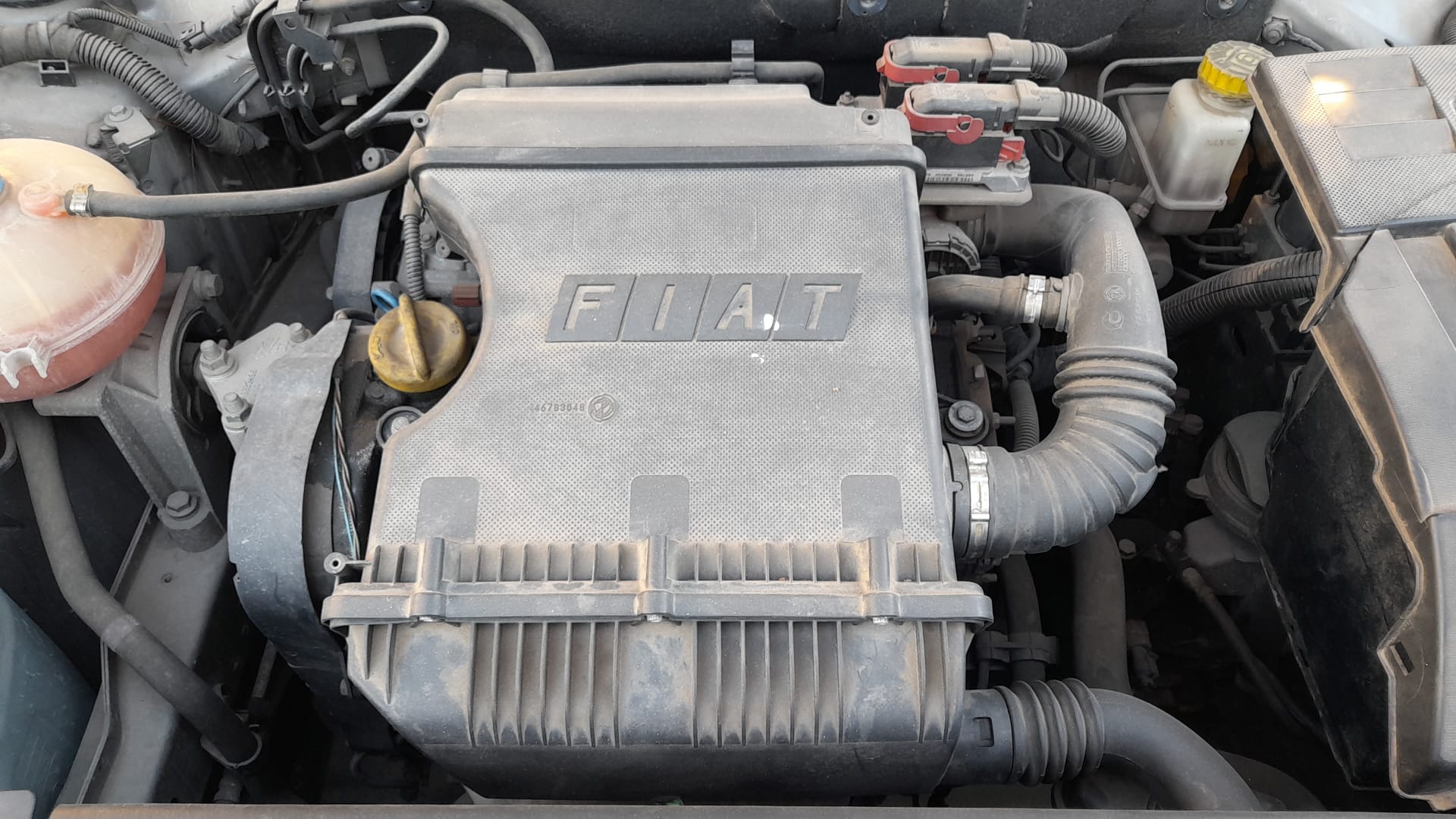 FIAT Stilo 1 generation (2001-2010) Motorkontrollenhet ECU 0261208204 18541339