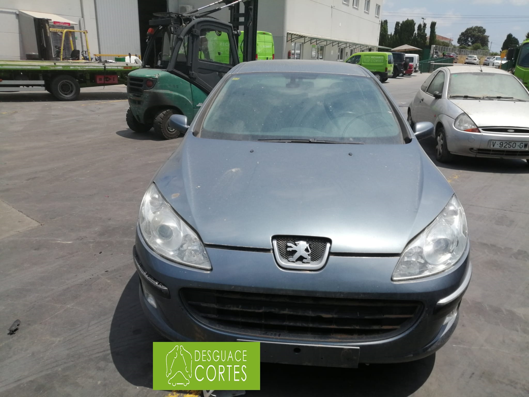 PEUGEOT 407 1 generation (2004-2010) Drošinātāju kārba S120017003I 18507747