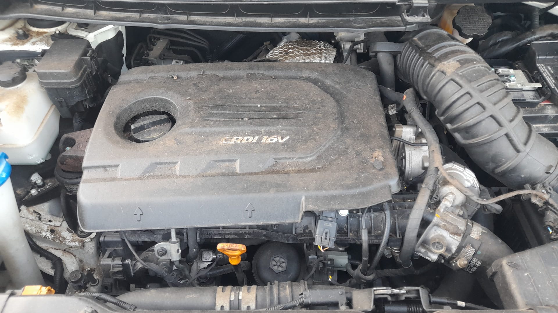 KIA Carens 3 generation (RP) (2013-2019) Engine Cover 292402A880 25177344
