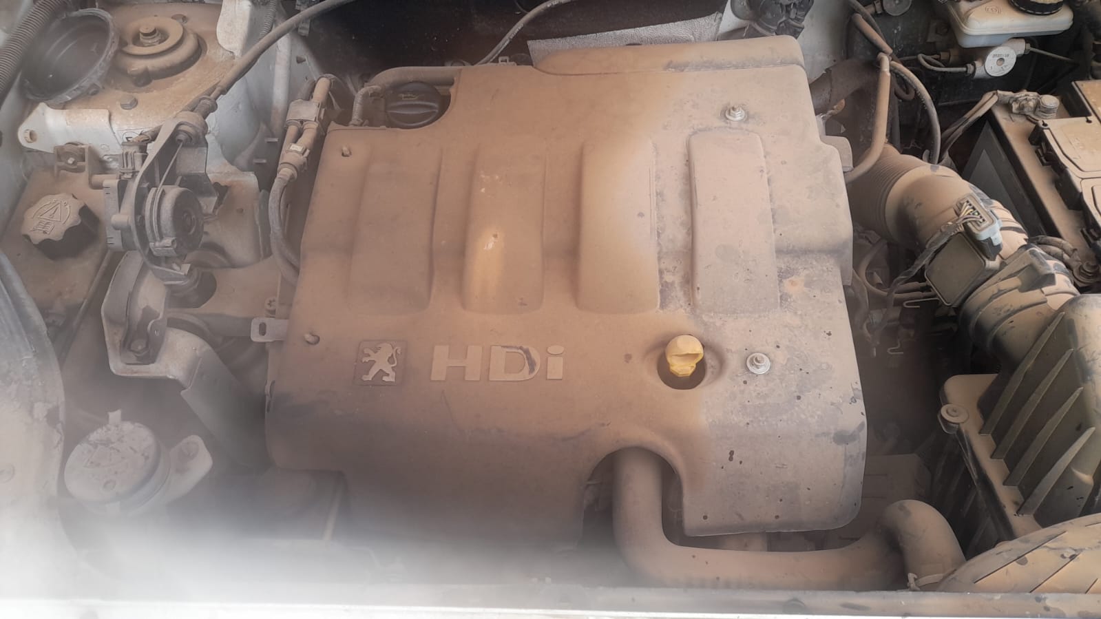 PEUGEOT Partner 1 generation (1996-2012) Priekšējais kreisais spārns 25016843