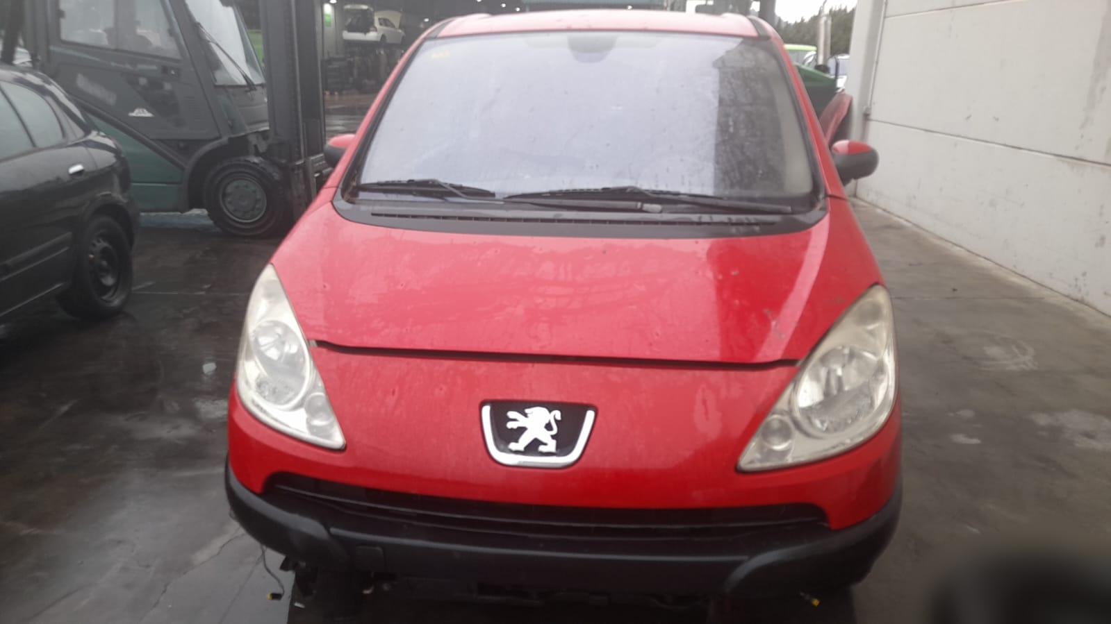 PEUGEOT 1007 1 generation (2005-2009) Front Left Door 9002V9 24548283