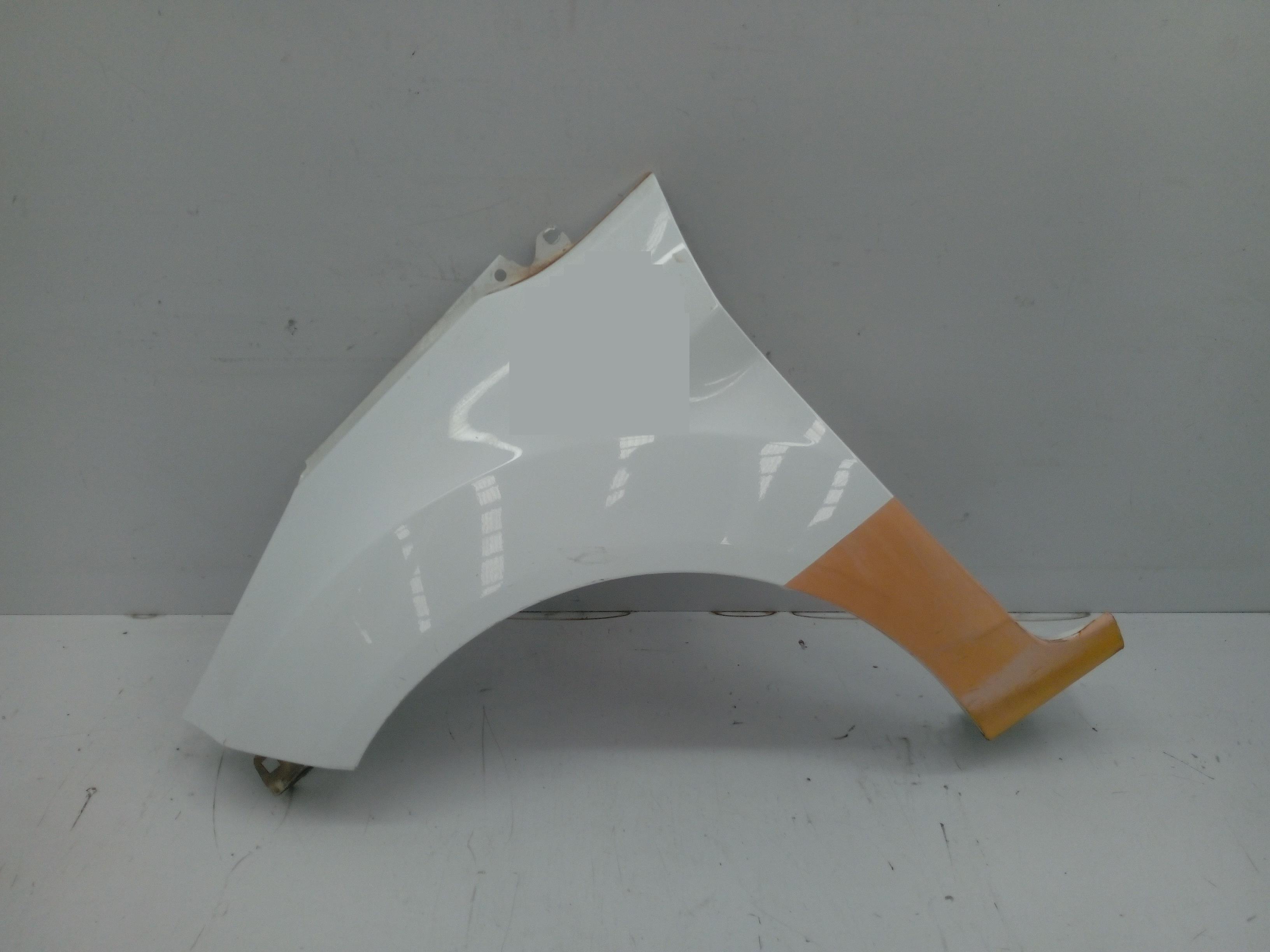 CITROËN Fiesta 5 generation (2001-2010) Front Left Fender 1777181 25314833